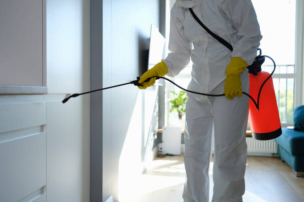 Best Professional Mold Removal  in West Hills, NY